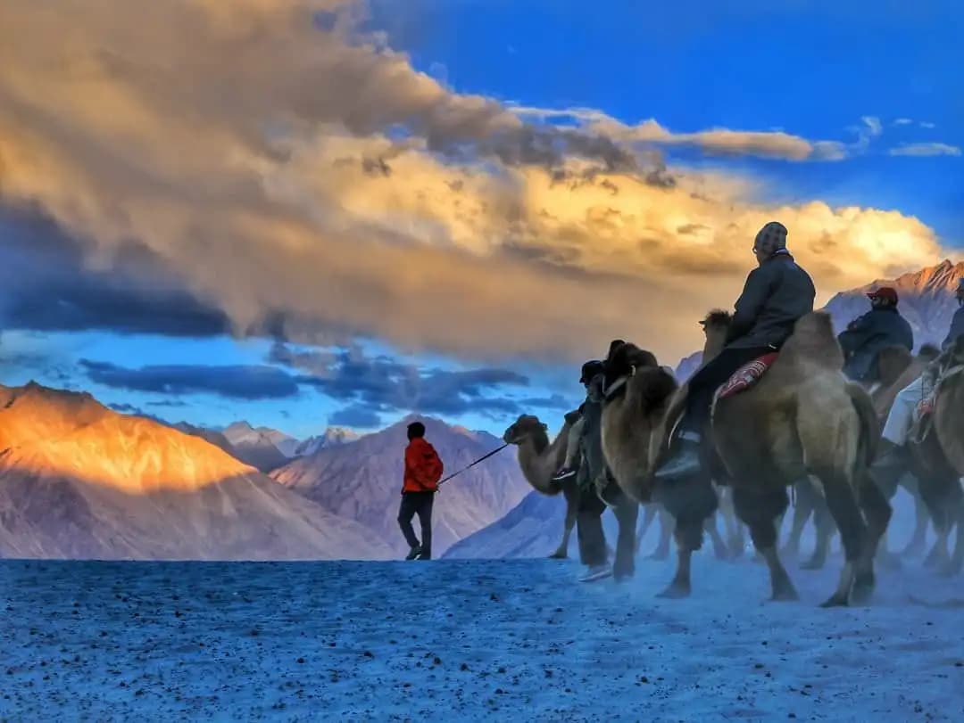 Maava Adventures | Curated Tours of Kashmir | Discover the Beauty