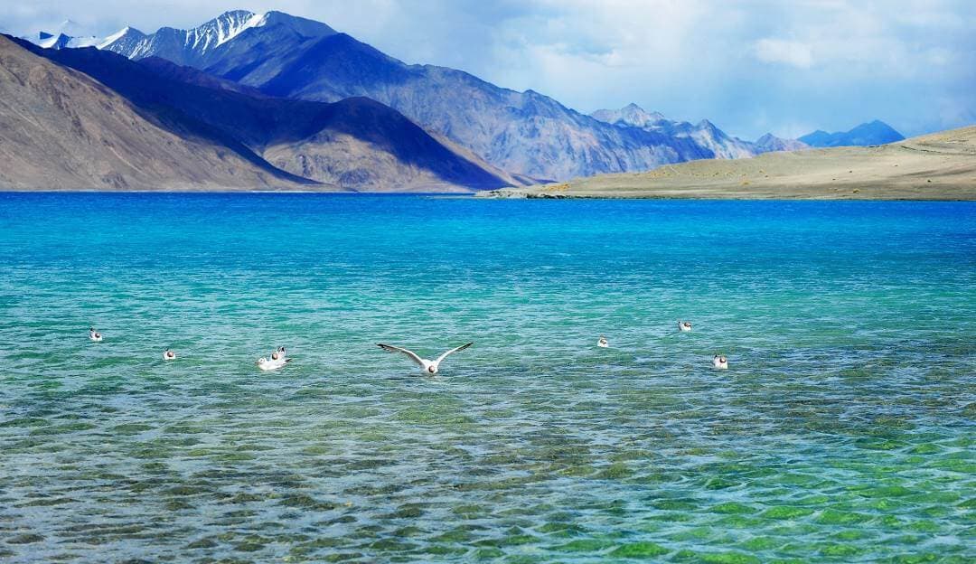 Maava Adventures | Curated Tours of Kashmir | Discover the Beauty